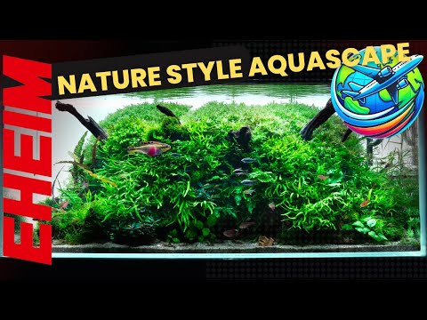 Nature Style Aquascape