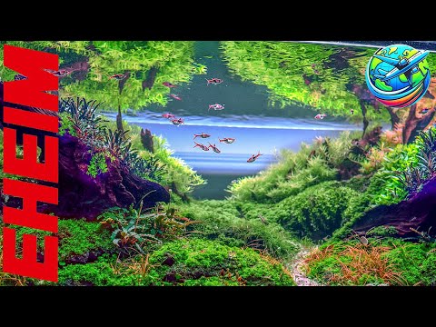 Aquascaping Ideas For Your Next Large Aquarium | From Austria