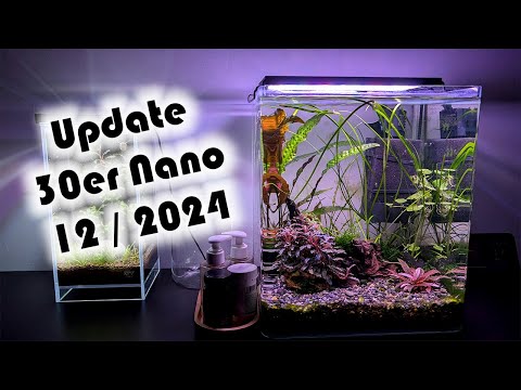 Update 30er Nano (12 / 2024) – Pflanzen, Filter (181)