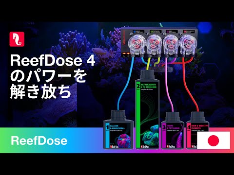 ReefDose 4のパワーを解き放ち、至極簡単な添加剤投与をご体験ください！