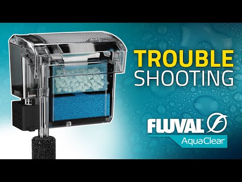 What’s Wrong With My AquaClear?!