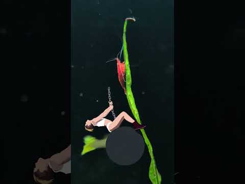 I came in like a cherry shrimp 🦐 #shorts