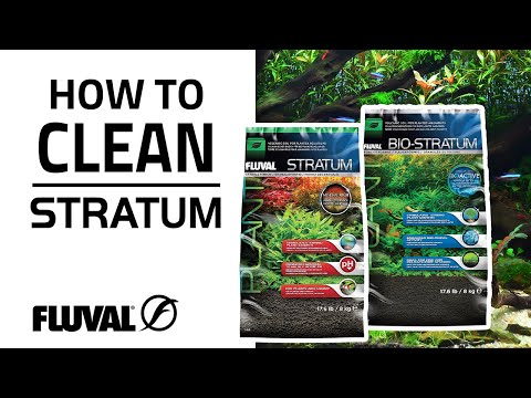 CLEANING STRATUM SUBSTRATES (The Right Way!)