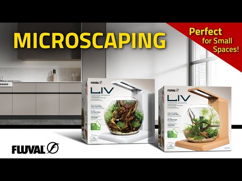 Small Spaces, Big Beauty: Discover the World of Microscaping