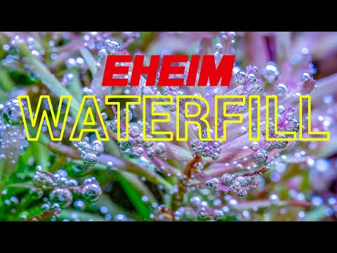 Never Refill Your Aquarium Manually Again! | EHEIM WaterRefill