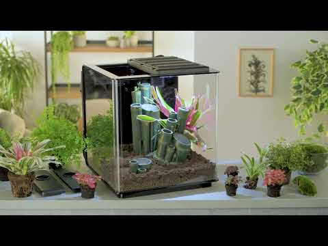 EARTH How-To | Set-up