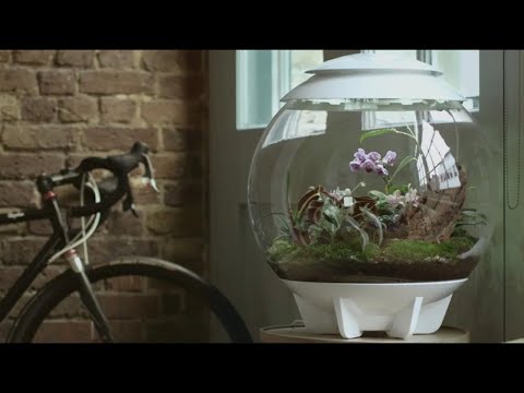 biOrb AIR 60 | Fully Automated Terrarium