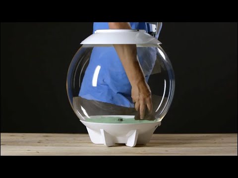 AIR 60 Terrarium How-To | Set-Up