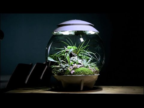 biOrb AIR 30 | Compact, Fully Automated Terrarium