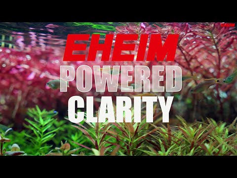 Crystal Clear Water – Relaxing Planted Aquarium in 4K