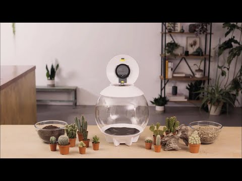 AIR 30 Terrarium How-To | Arid Plant Set-Up