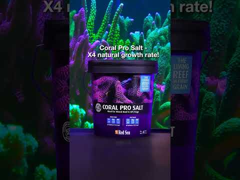 Enjoy enhanced coral growth & vivid colors! #redseasalt