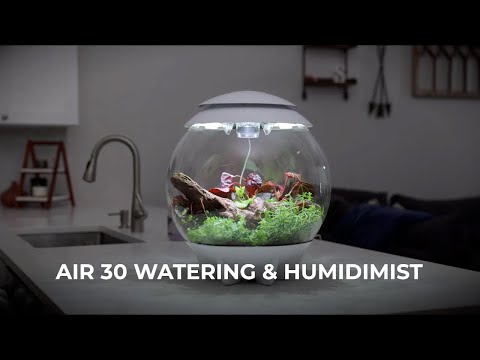 AIR 30 Terrarium How-To | Watering and Humidimist