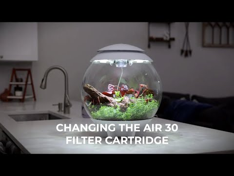 AIR 30 Terrarium How-To | Changing the Filter Cartridge
