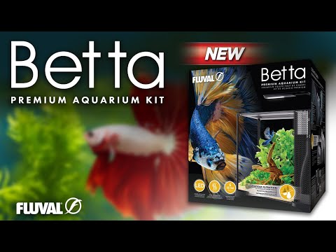 FLUVAL BETTA TANK SETUP | Unboxing & Installation