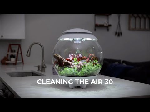 AIR 30 Terrarium How-To | Cleaning