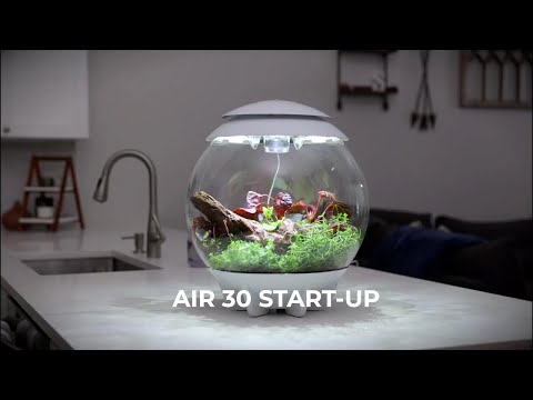 AIR 30 Terrarium How-To | Start-Up