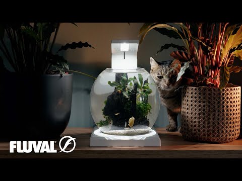 SMART. SLEEK. SEAMLESS | Fluval Liv Microscaping Aquarium Kit