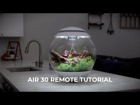 AIR 30 Terrarium How-To | Remote Control Tutorial