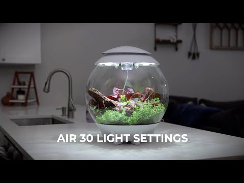 AIR 30 Terrarium How-To | Lighting Settings