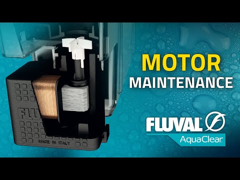 HOW TO: Fluval AquaClear Motor Maintenance