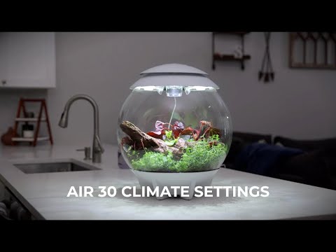 AIR 30 Terrarium How-To | Climate Settings