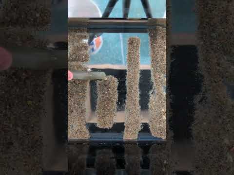 Sand removal ASMR 👌 #shorts