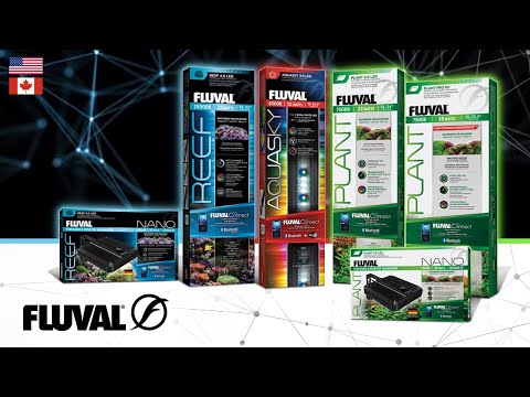 THE FUTURE OF AQUARIUM LIGHTING IS IN YOUR HANDS | Fluval LED Lighting [NA]