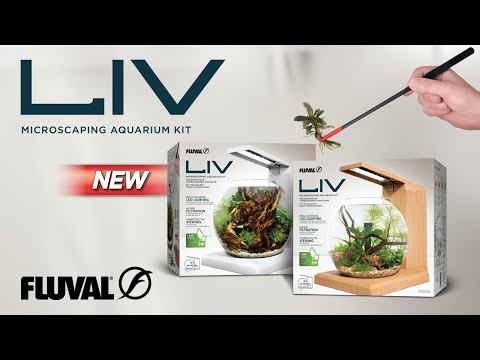 A NEW WAY TO SCAPE | Fluval Liv Microscaping Aquarium Kit