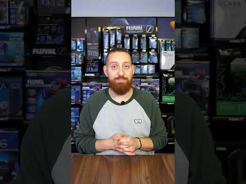 Aquarium pump cleaning tips ✨ #shorts