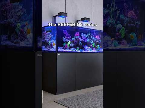 REEFER G3 Series – Up to 50% more water circulation!