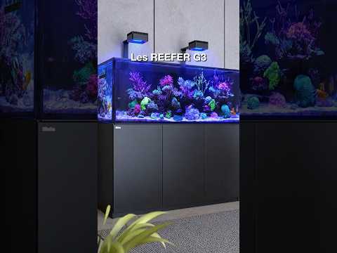 REEFER G3 Series – Jusqu’à 50% de ciculation d’eau en plus