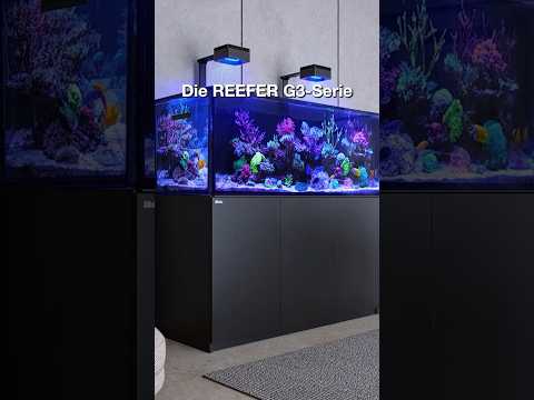 REEFER G3 Serie – Bis zu 50 % mehr Wasserzirkulation