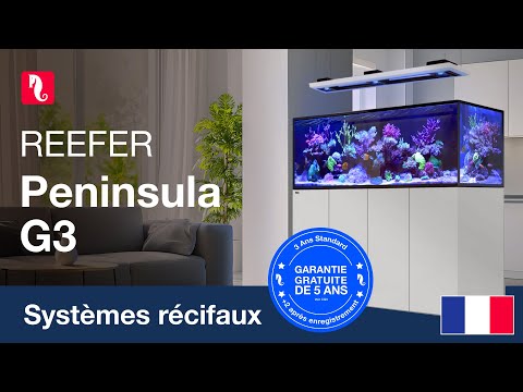 Les REEFER Peninsula G3 !