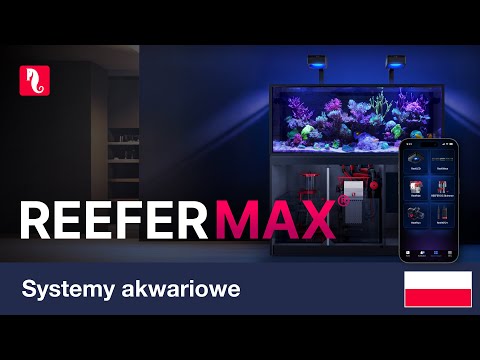 Seria REEFER MAX G3 – Inteligentne systemy rafowe typu Plug & Play