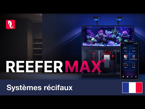 Les REEFER MAX G3 – Systèmes récifaux intelligents Plug & Play
