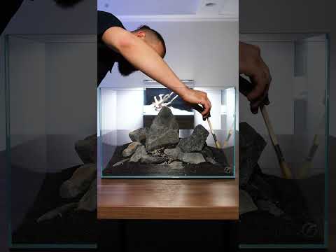Aquascape a tank in 60 SECONDS! #shorts