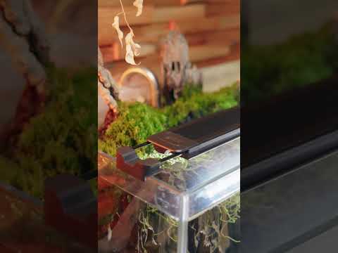 AQUASKY 3.0: Next-Level Natural Lighting ☀️ #shorts