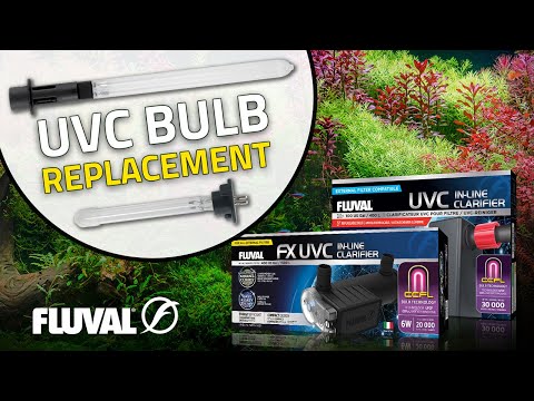 Replacing a UVC Clarifier Bulb in 60 Seconds (Step-by-Step Guide!)