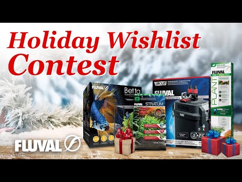 ✨ FLUVAL 2025 HOLIDAY WISHLIST CONTEST! 🎁
