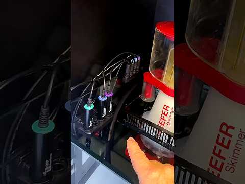 The ReefControl Family in action