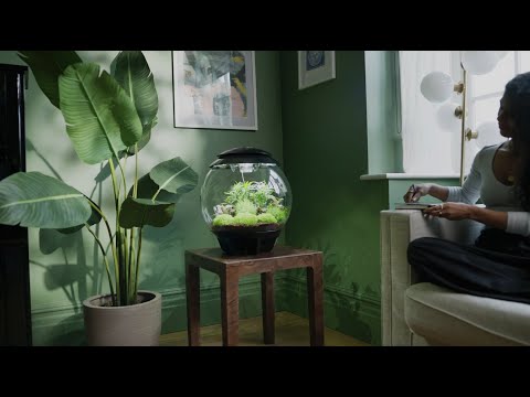 Add Harmony to Your Home ⎸ biOrb Terrariums