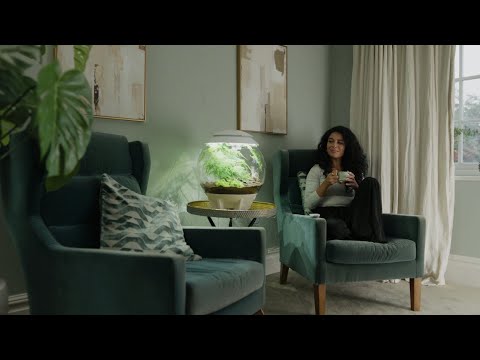 Add Calm to Your Home ⎸ biOrb Terrariums