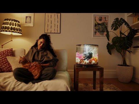 Add Bliss to Your Home ⎸ biOrb Aquariums