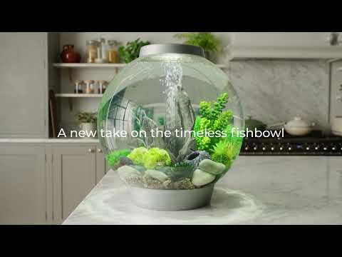 biOrb CLASSIC ⎸ Our Original Aquarium Model, Since 1999