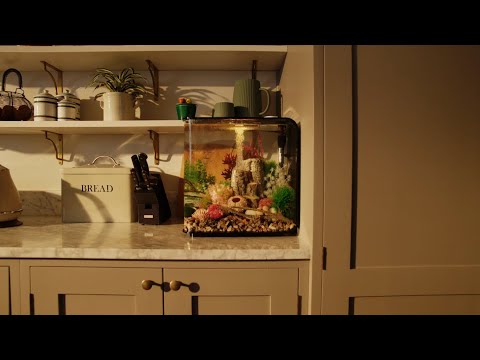 biOrb FLOW ⎸ Aquarium Product Overview