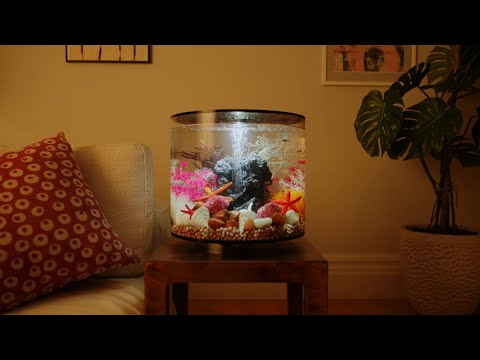 biOrb TUBE ⎸ Aquarium Product Overview