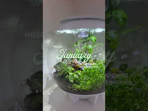 Still going, keep growing! 🗓️