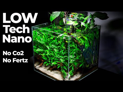 Small Nano Aquarium, Huge Results: Eheim Liberty 75