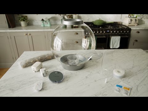 Aquarium How-to ⎸ Setting Up Your biOrb